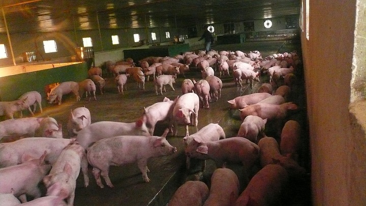 Dân xây dựng nông thôn mới rộn ràng như mở hội